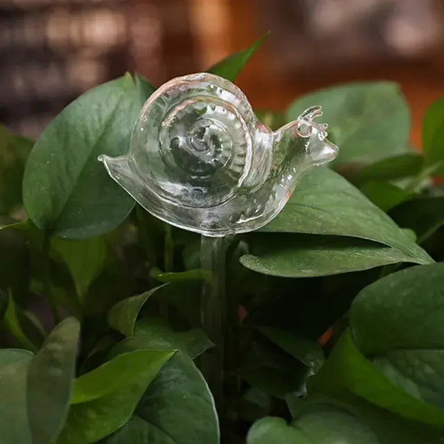 Self Watering Decorative Glass For Plants
