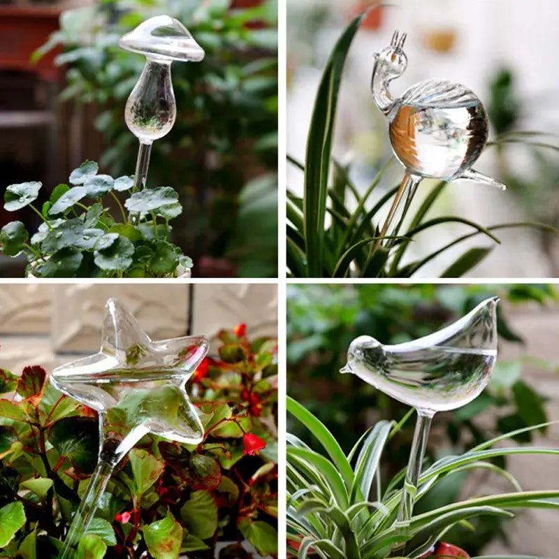 Self Watering Decorative Glass For Plants